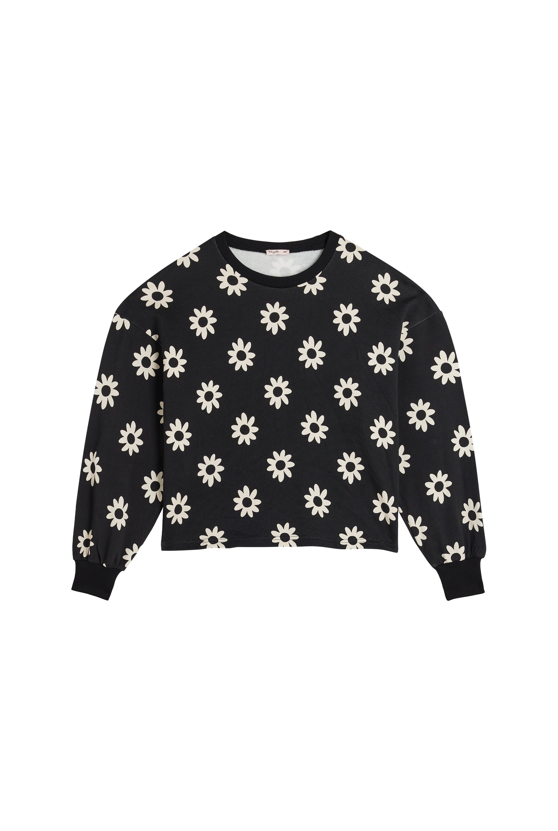 Sweat 100% Coton - Dahlia Noir